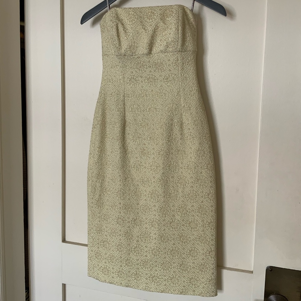 Celine Strapless Mini Dress